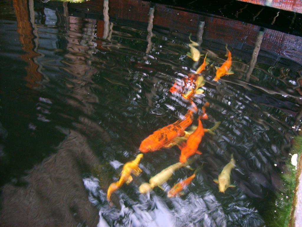 52 Bracelet Hotel Mbombela Luaran gambar